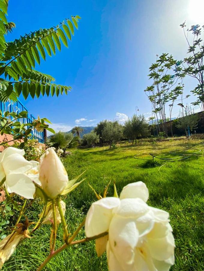 L'oliveraie D'amizmiz Guest house Amizmiz