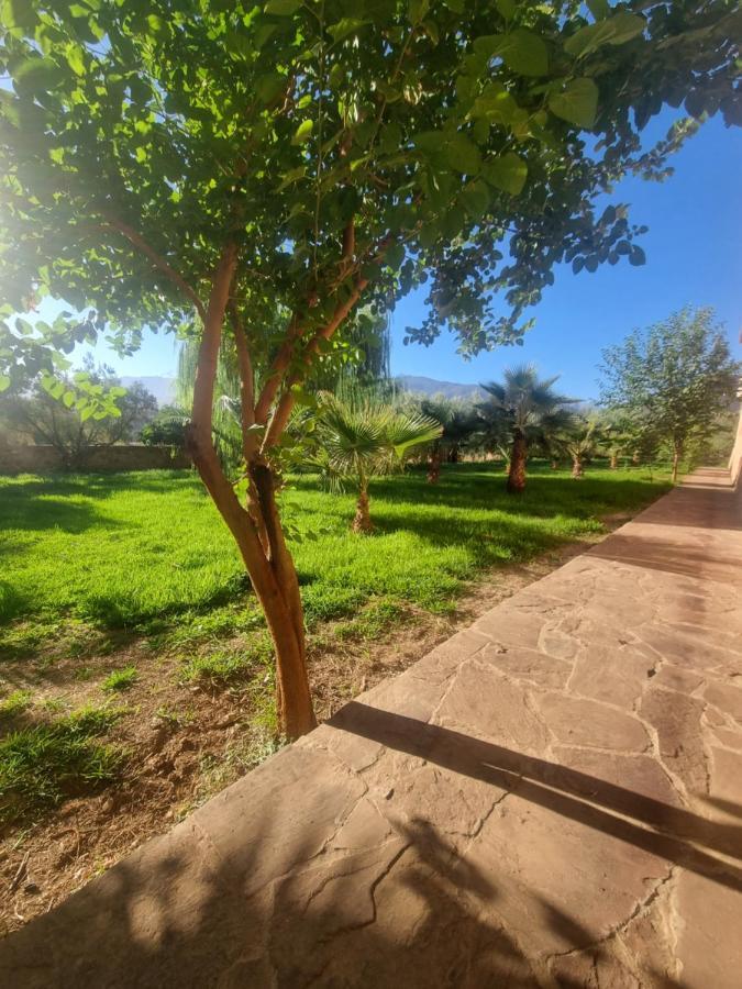 L'oliveraie D'amizmiz Guest house Amizmiz